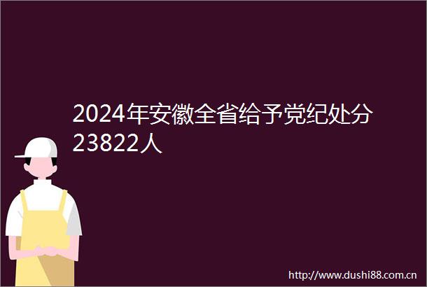 2024年安徽全省给予党纪处分23822人