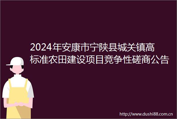 2024年安康市宁陕县城关镇高标准农田建设项目竞争性磋商公告