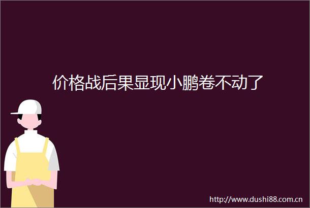 价格战后果显现小鹏卷不动了