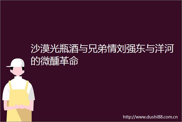 沙漠光瓶酒与兄弟情刘强东与洋河的微醺革命