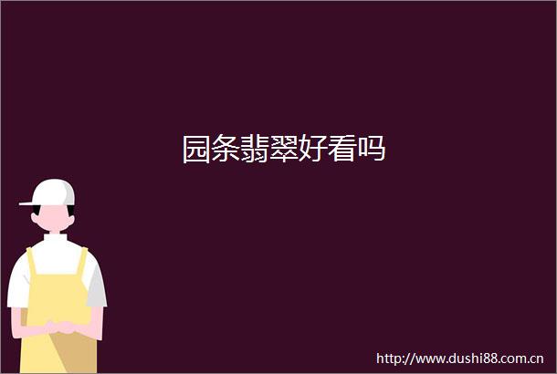 园条翡翠好看吗