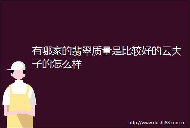 有哪家的翡翠质量是比较好的云夫子的怎么样