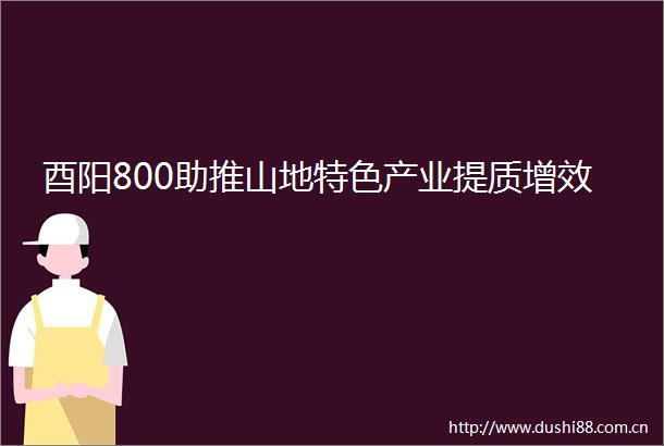 酉阳800助推山地特色产业提质增效