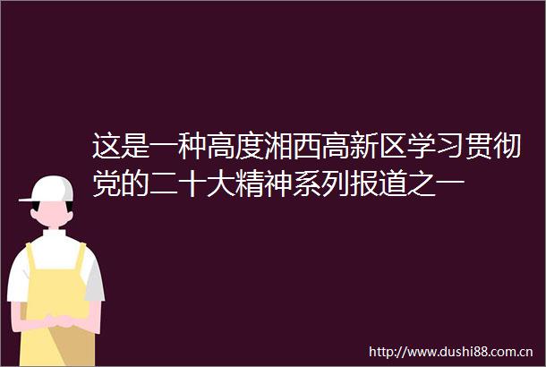 这是一种高度湘西高新区学习贯彻党的二十大精神系列报道之一
