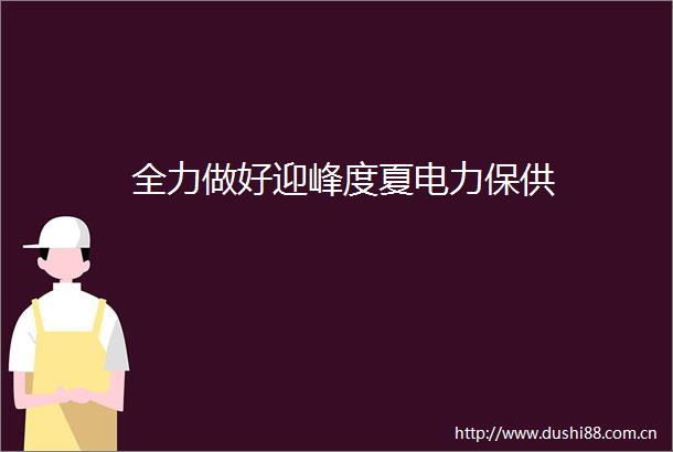 全力做好迎峰度夏电力保供