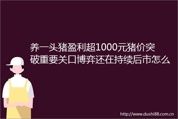 养一头猪盈利超1000元猪价突破重要关口博弈还在持续后市怎么走