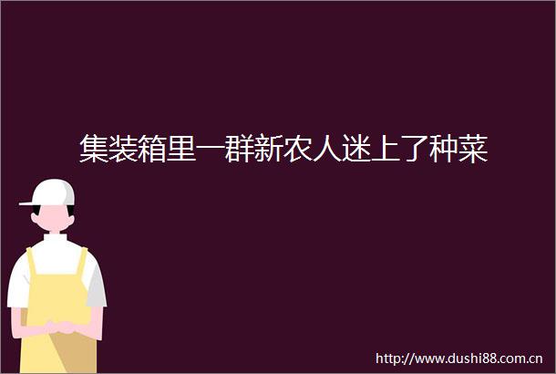 集装箱里一群新农人迷上了种菜
