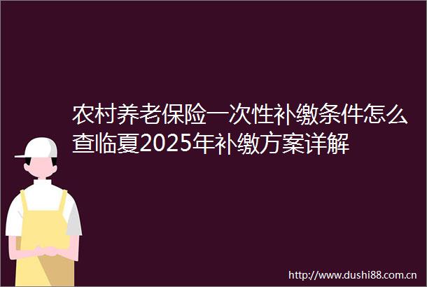 农村养老保险一次性补缴条件怎么查临夏2025年补缴方案详解