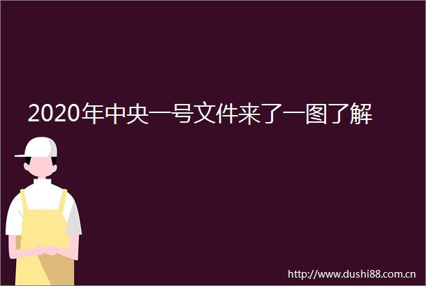 2020年中央一号文件来了一图了解