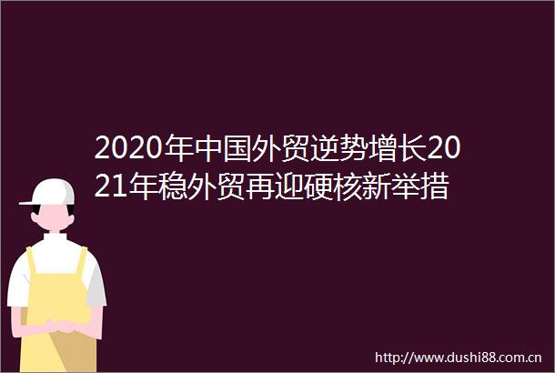 2020年外贸逆势增长2021年稳外贸再迎硬核新举措