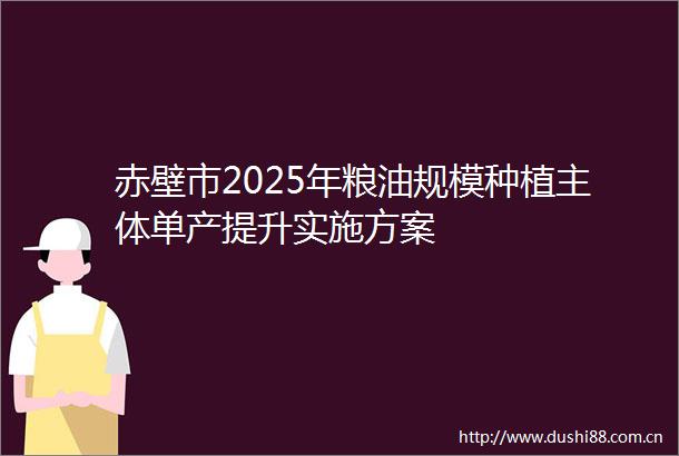 赤壁市2025年粮油规模种植主体单产提升实施方案
