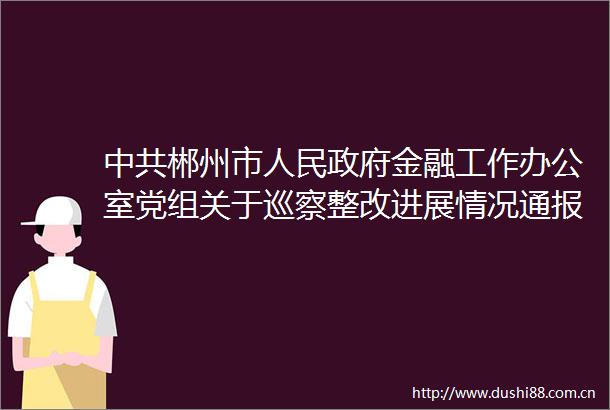 郴州市金融工作办公室党组关于巡察整改进展情况通报