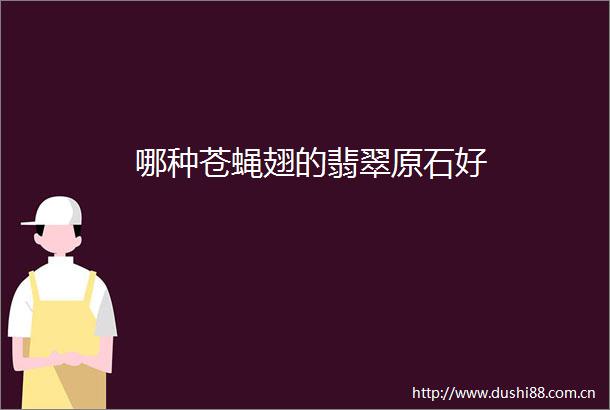 哪种苍蝇翅的翡翠原石好