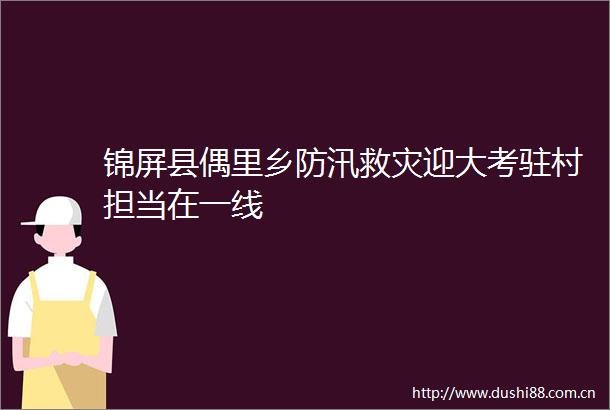 锦屏县偶里乡防汛救灾迎大考驻村担当在一线