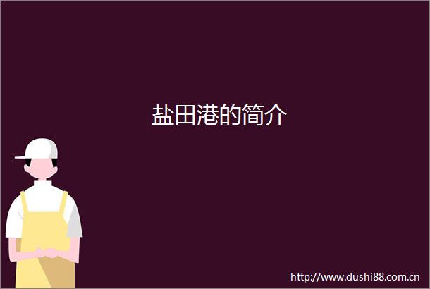 盐田港的简介