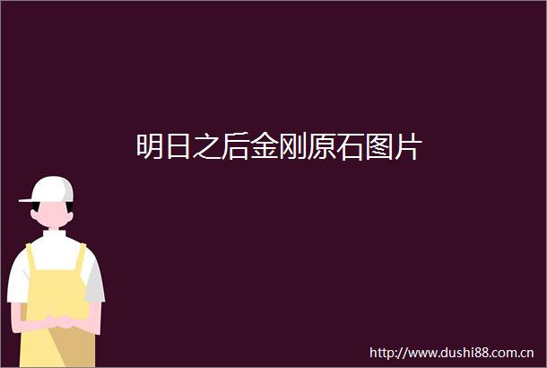 明日之后金刚原石图片