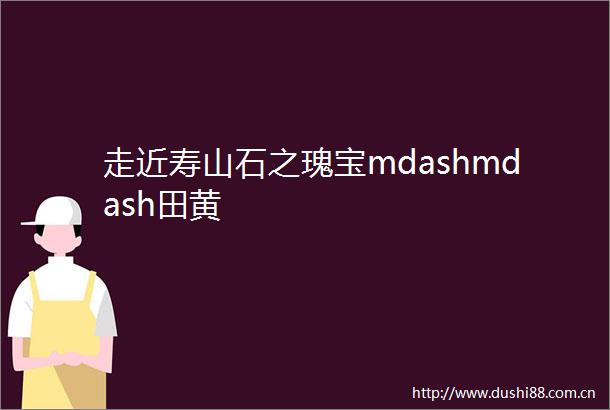 走近寿山石之瑰宝mdashmdash田黄