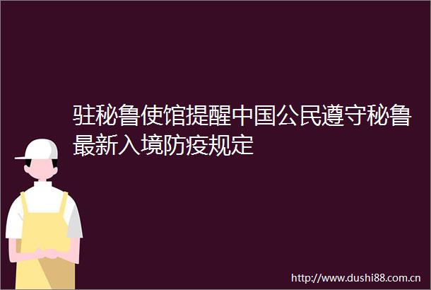 驻秘鲁使馆提醒公民遵守秘鲁最新入境防疫规定