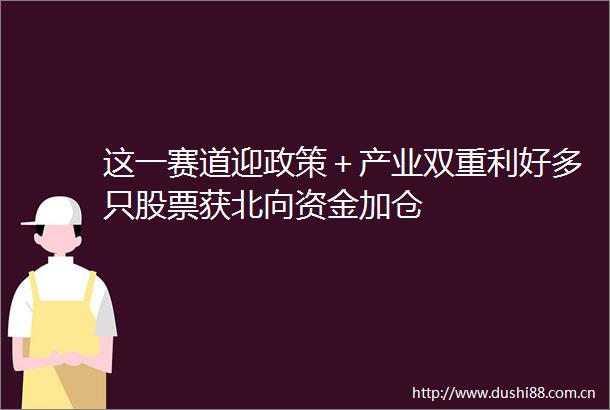 这一赛道迎政策＋产业双重利好多只股票获北向资金加仓
