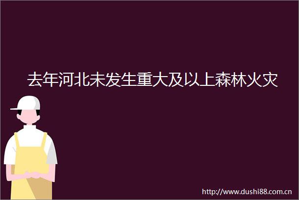去年河北未发生重大及以上森林火灾