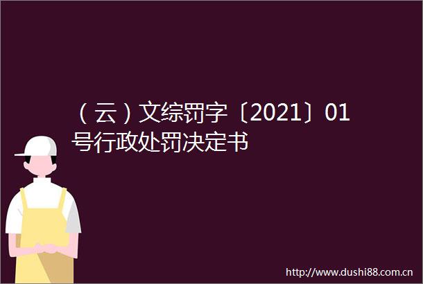 （云）文综罚字〔2021〕01号行政决定书