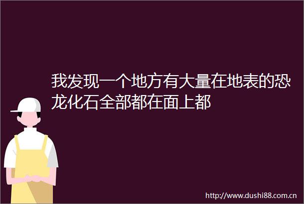 我发现一个地方有大量在地表的恐龙化石全部都在面上都
