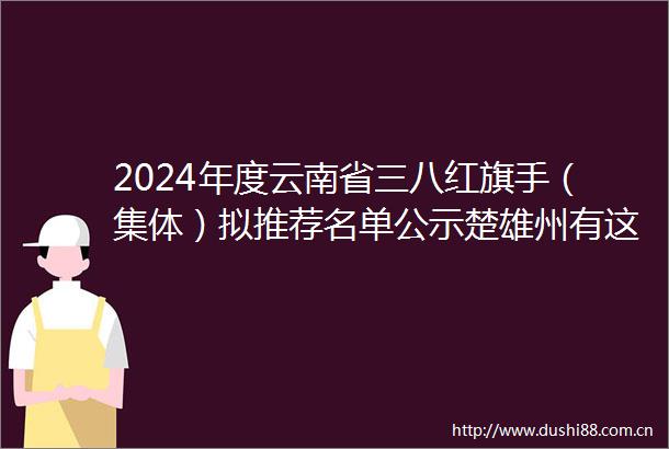 2024年度云南省三八红旗手（集体）拟推荐名单公示楚雄州有这些→