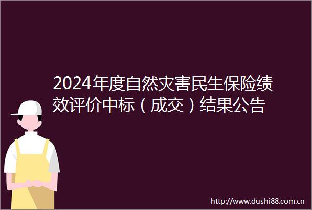 2024年度自然灾害民生保险绩效评价中标（成交）结果公告