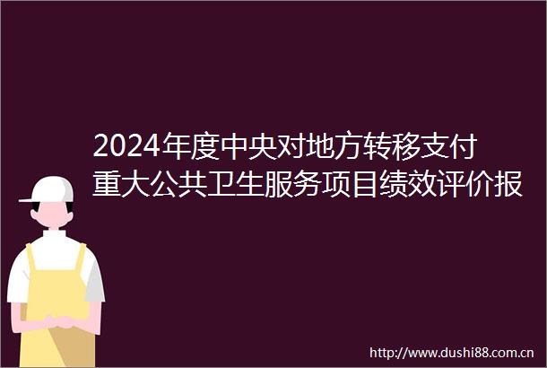 2024年度中央对地方转移支付重大公共卫生服务项目绩效评价报告