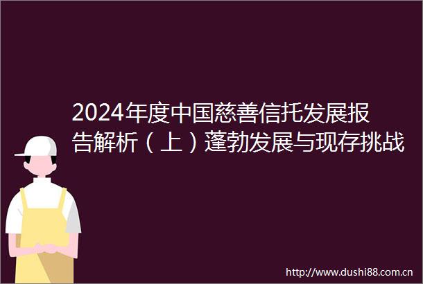 2024年度慈善信托发展报告解析（上）蓬勃发展与现存挑战