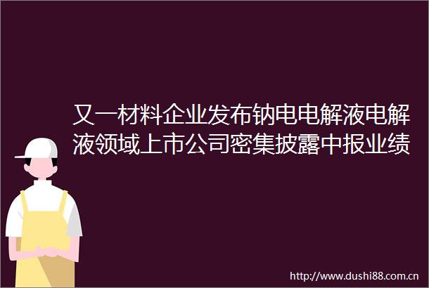又一材料企业发布钠电电解液电解液领域上市公司密集披露中报业绩