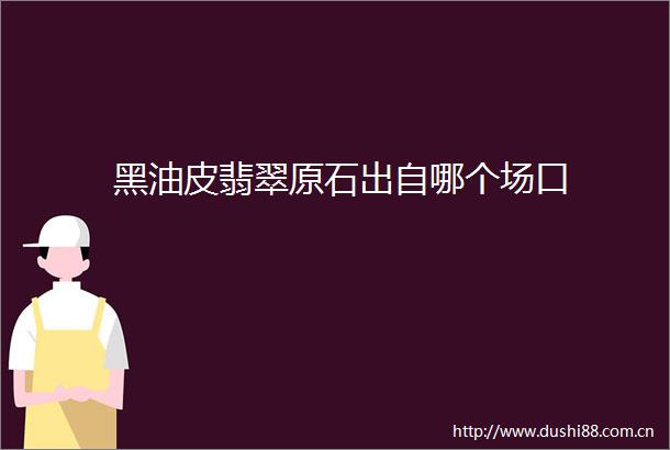 黑油皮翡翠原石出自哪个场口