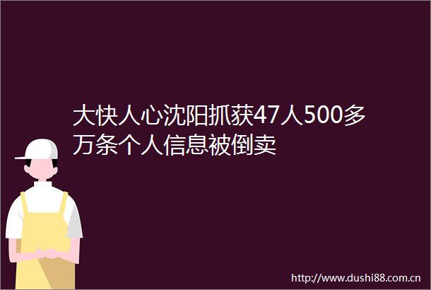 大快人心沈阳抓获47人500多万条个人信息被倒卖