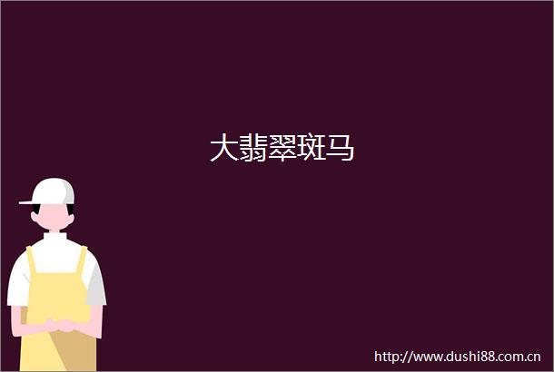 大翡翠斑马