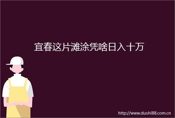 宜春这片滩涂凭啥日入十万