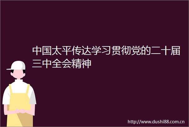 太平传达学习贯彻党的二十届三中全会精神