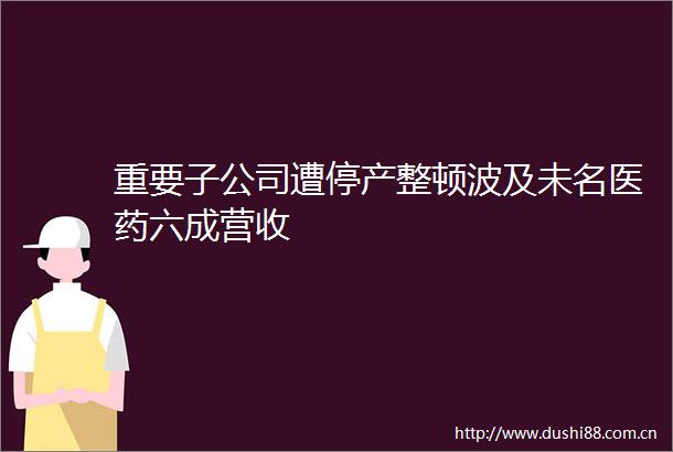 重要子公司遭停产整顿波及未名医药六成营收