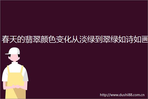 春天的翡翠颜色变化从淡绿到翠绿如诗如画