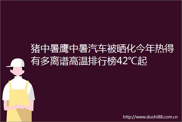 猪中暑鹰中暑汽车被晒化今年热得有多离谱高温排行榜42℃起