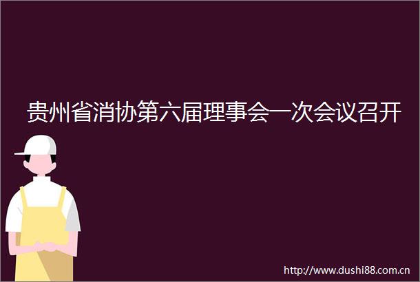 贵州省消协第六届理事会一次会议召开