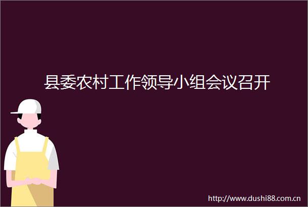 县委农村工作小组会议召开