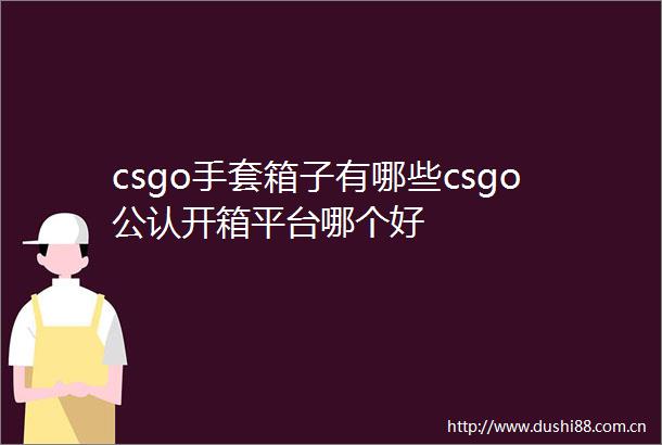csgo手套箱子有哪些csgo公认开箱平台哪个好