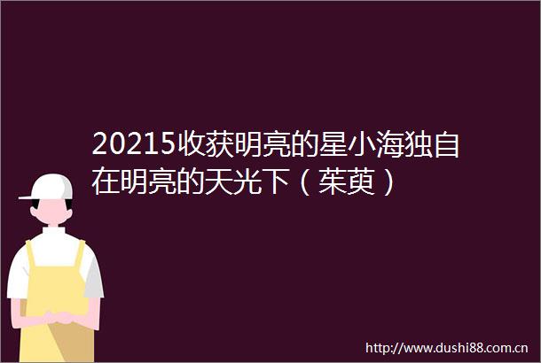 20215收获明亮的星小海独自在明亮的天光下（茱萸）