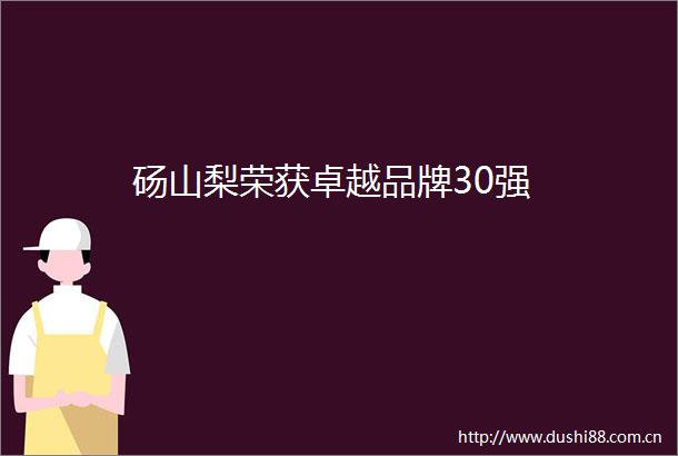 砀山梨荣获卓越品牌30强