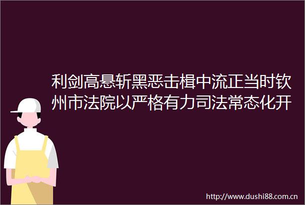 利剑高悬斩击楫中流正当时钦州市以严格有力司法常态化开展扫黑除恶斗争