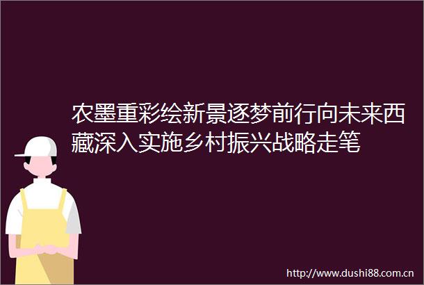 农墨重彩绘新景逐梦前行向未来西藏深入实施乡村振兴战略走笔