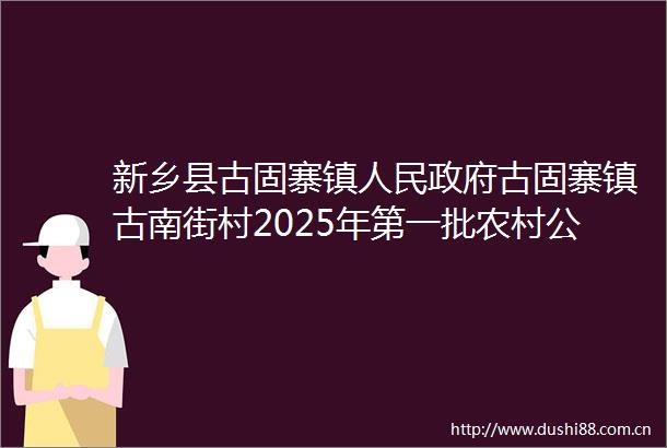 新乡县古固寨镇古固寨镇古南街村2025年第一批农村公益事业项目雨水管网建设工程项目竞争性谈判公告