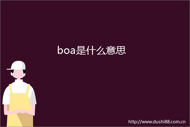 boa是什么意思