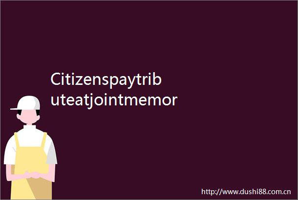 CitizenspaytributeatjointmemorialaltarforvictimsofJejuAircrashinMuanSKorea