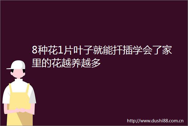 8种花1片叶子就能扦插学会了家里的花越养越多
